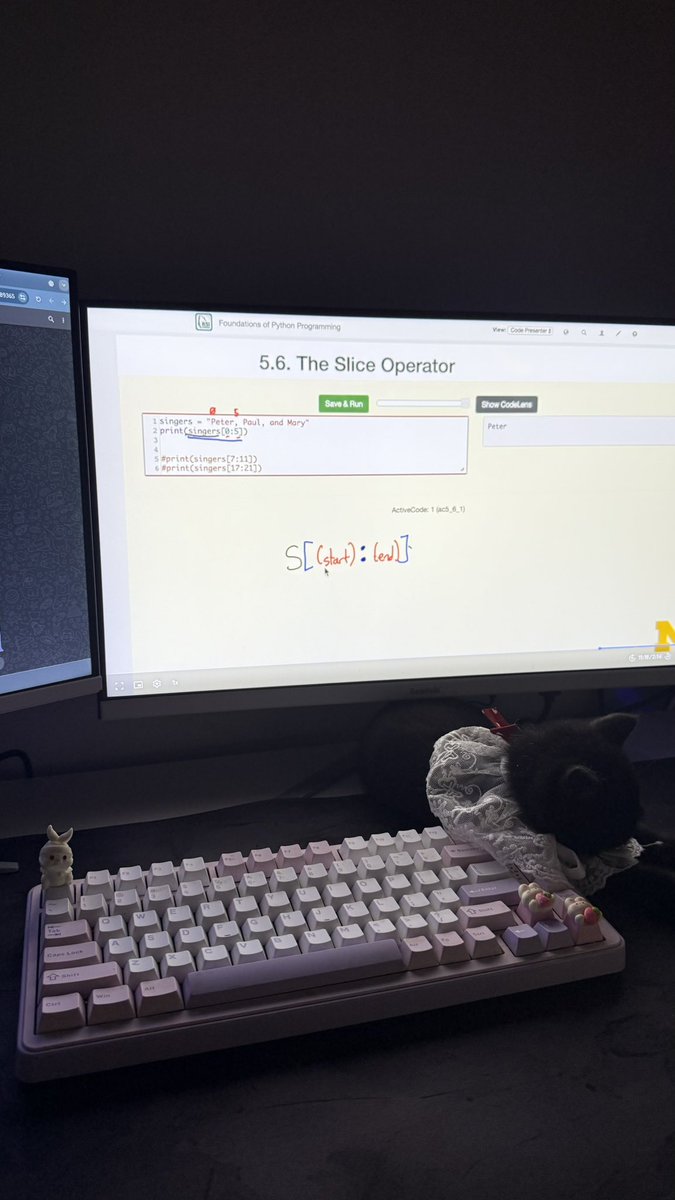 HW_ALO's tweet photo. Sometimes I wish I were the cat… zero studying, 100% sleeping😣 https://t.co/vAdbAoJBtU