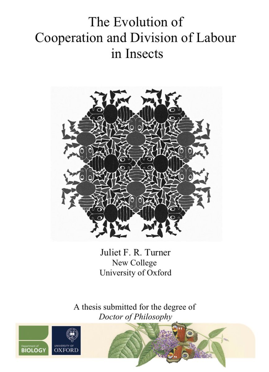 SanguineChester's tweet image. People are not seething because you earned a PhD. They are seething because, after all the self congratulation and the glitter emojis, they discovered the grand achievement you are flaunting is… about ants.

Most people can accept someone celebrating medical research,…