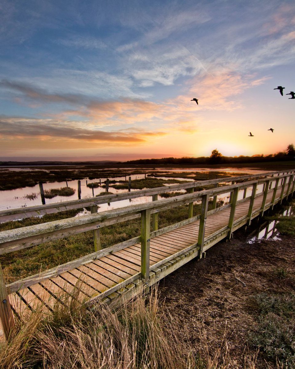 Visit Isle Of Wight tweet media