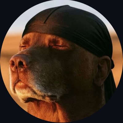 Acarmona0710's tweet photo. #NuevaFotoDePerfil https://t.co/bmncKP0YdP