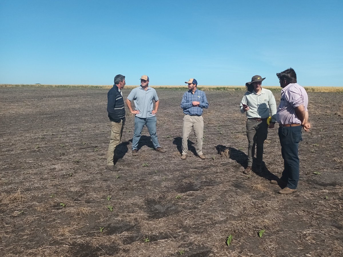 Seguimos de recorridas, ahora por la vuelta de Young, enfocados en Girasol y acompañando desde el arranque a los cultivos.
<a href="/NideraSemillas/">Nidera Semillas</a> <a href="/CopagranUy/">COPAGRAN</a>