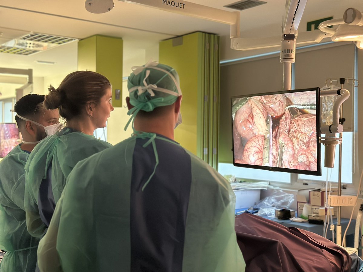 CTF_ASACEC's tweet image. Finalizando el segundo día del Curso Avanzado de Formación en Cirugía Endoscópica para Residentes:
🔹Cirugías en directo
🔹Sesión práctica experimental 

@aecirujanos 
#CirugíaLaparoscópica