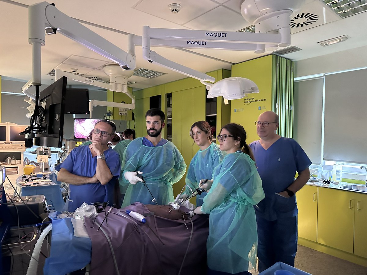 CTF_ASACEC's tweet image. Finalizando el segundo día del Curso Avanzado de Formación en Cirugía Endoscópica para Residentes:
🔹Cirugías en directo
🔹Sesión práctica experimental 

@aecirujanos 
#CirugíaLaparoscópica