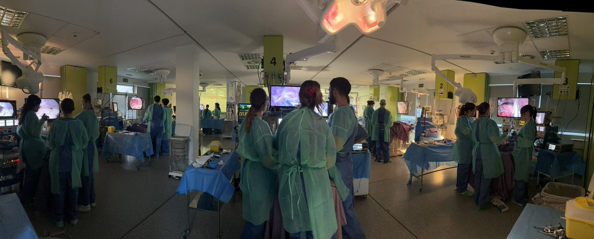 CTF_ASACEC's tweet image. Finalizando el segundo día del Curso Avanzado de Formación en Cirugía Endoscópica para Residentes:
🔹Cirugías en directo
🔹Sesión práctica experimental 

@aecirujanos 
#CirugíaLaparoscópica