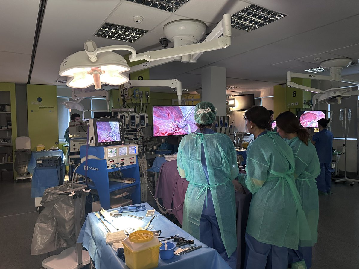 CTF_ASACEC's tweet image. Finalizando el segundo día del Curso Avanzado de Formación en Cirugía Endoscópica para Residentes:
🔹Cirugías en directo
🔹Sesión práctica experimental 

@aecirujanos 
#CirugíaLaparoscópica