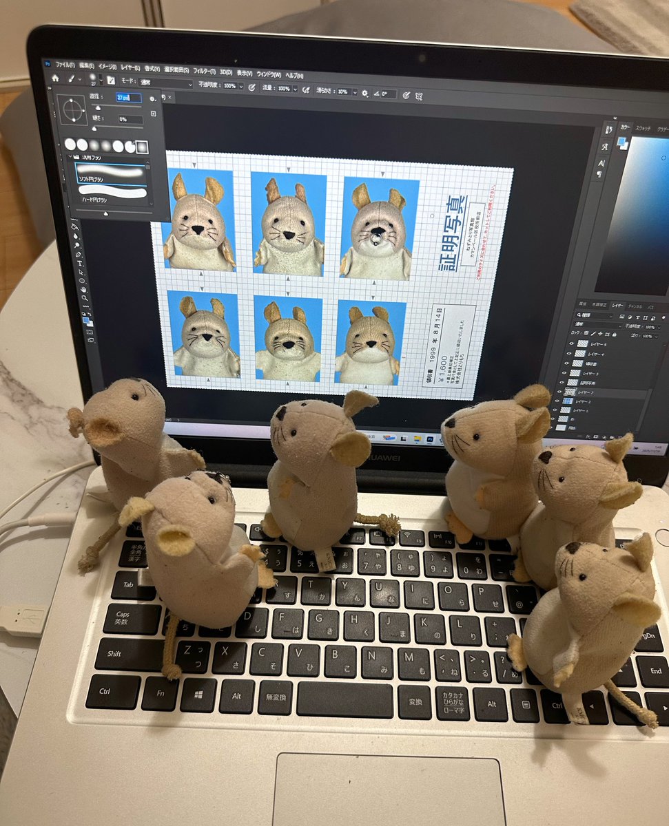 ネッピー・チーズ(本人) tweet media