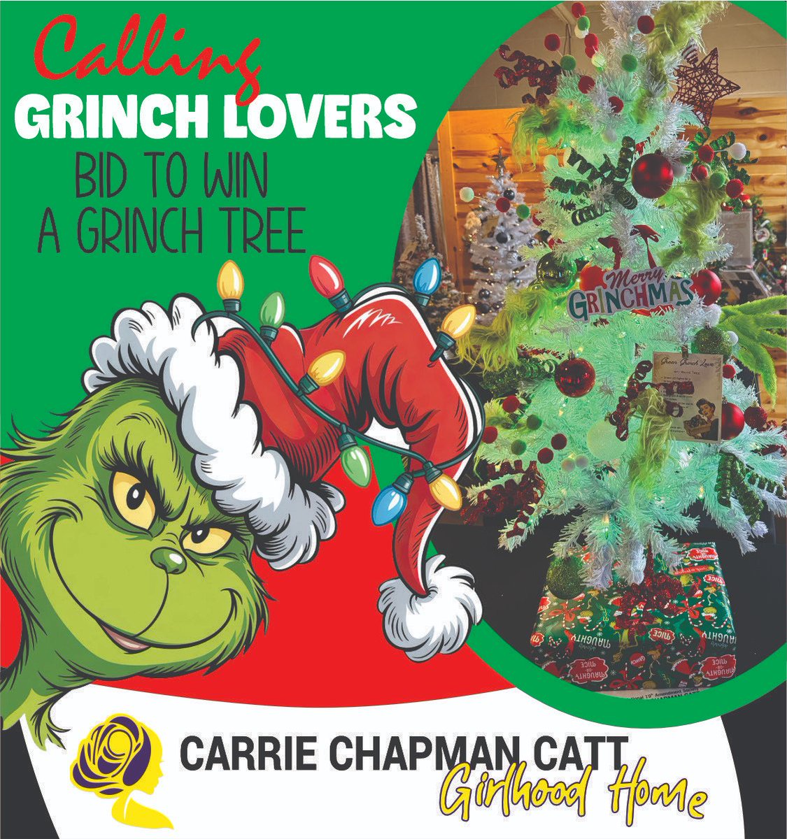 Catt Museum tweet media