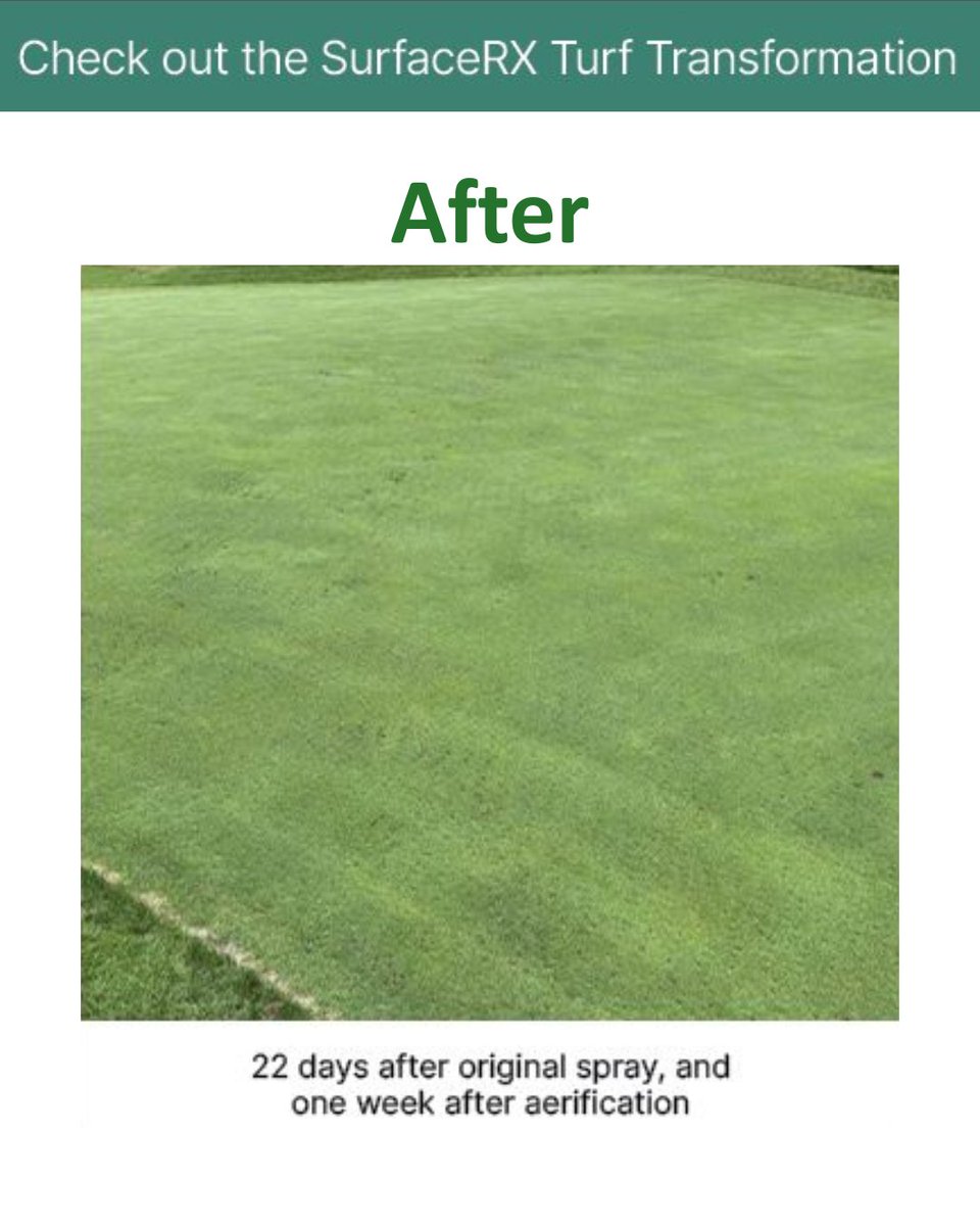 Golf Course Superintendent Rodney Miller said this about his experience with SurfaceRx™, "Very satisfied after just one application! This will be part of my program going forward! This is definitely a product that improves not only weak areas, but I see more density and fuller
