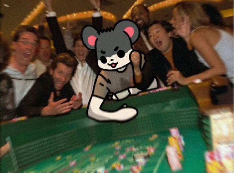 Risk on is returning - delusional SAIKOpaths will win 🚀✅