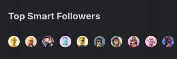 CryptoSubi's tweet image. Now up to 11 @KaitoAI smart followers
My personal favourite is @RiddlerNFT 

Who’s your favourite smart follower?