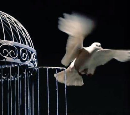 - Libertad 🥺
#SevdiğimSensin