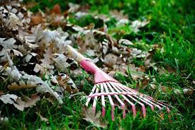 APlusAllFlaIns's tweet image. &apos;Oh, my back!&apos; An all-too-common phrase after a day of yard work. Before you start raking those leaves, read these quick tips. ow.ly/mk3S50Xblym
