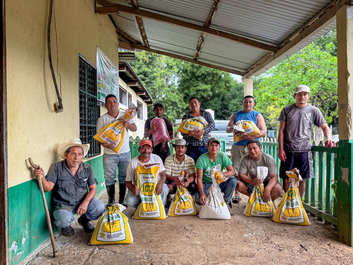ChechaPaz_WCS's tweet photo. Los primeros frutos de la alianza con @ICTAGuate y @WCSGuatemala empiezan a verse 🌱🤝
Comunidades de la #RBM recibieron semillas certificadas para sistemas productivos sostenibles y medios de vida más fuertes, reduciendo presión sobre la #SelvaMaya 🌳
Con @CONAPgt y comunidades https://t.co/swuEEFfydh