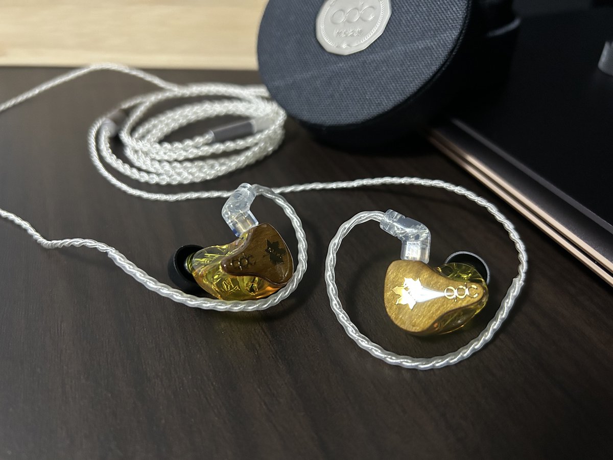 qdcのHybrid Folk-Sを購入した。見た目だけで優勝してる。