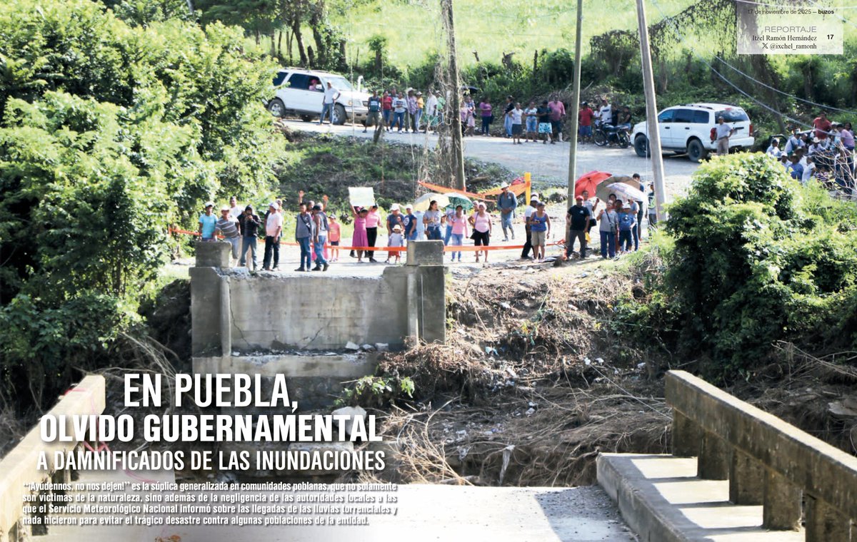 Buzos de la Noticia tweet media