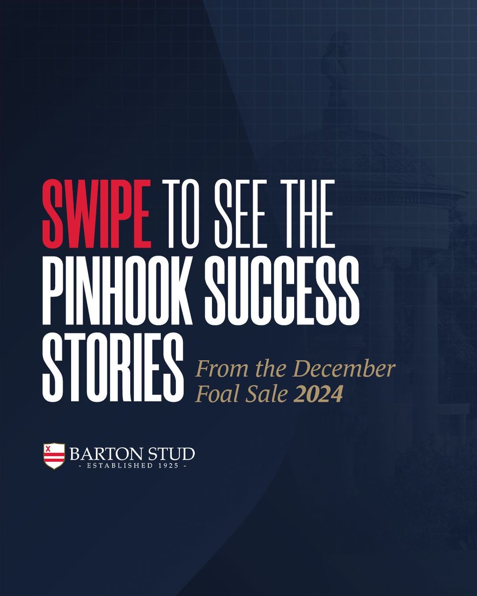 BartonStud1's tweet image. One week to go until the @tattersalls1766 December Foal Sale!

We will be offering a draft of 58 foals this year. Come and see us at Highflyer D, E &amp;amp; F from Sunday, 23rd November 🏇

#BartonStud #TattsDecember #Pinhook #Tattersalls