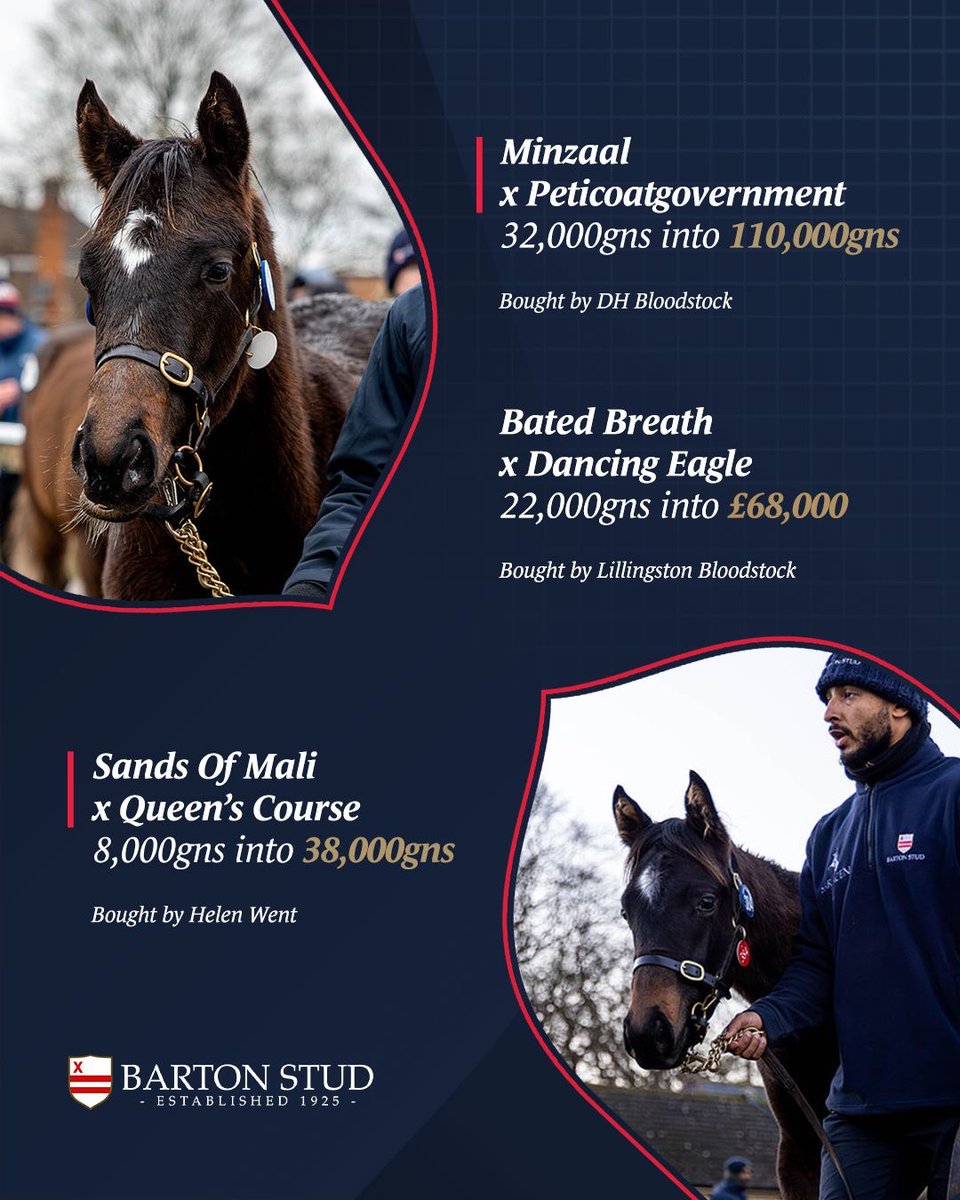 BartonStud1's tweet image. One week to go until the @tattersalls1766 December Foal Sale!

We will be offering a draft of 58 foals this year. Come and see us at Highflyer D, E &amp;amp; F from Sunday, 23rd November 🏇

#BartonStud #TattsDecember #Pinhook #Tattersalls
