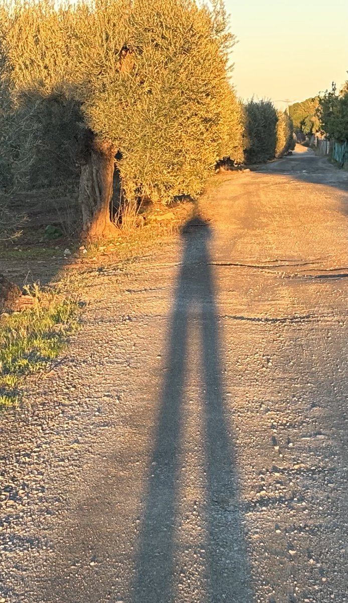 La sombra del ciprés…

#RetoFotográfico 322/365