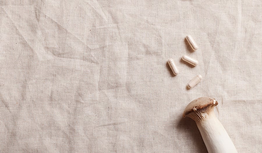 iHerbMiddleEast's tweet image. لماذا الفطر الوظيفي؟ إنها لا تجبر جسمك مثل المنشطات. يدفعونها مرة أخرى إلى التوازن.
 → ريشي: يساعد في التخلص من التوتر
 → كورديسيبس: يبني القدرة على التحمل
 → شعر الأسد: يشحذ التركيز
 إنها حكمة قديمة للحيوية وطول العمر.
 
 #MushroomBenefits #Adaptogens