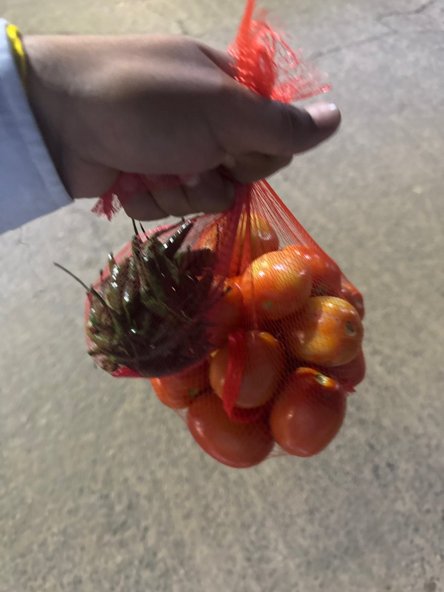 NO cheating, post your third saved image without any context 😅🧿