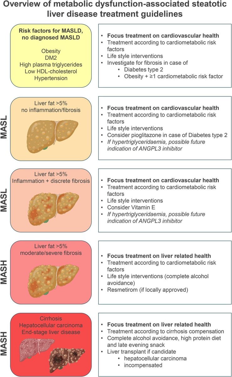 𝗠𝗔𝗦𝗟𝗗/𝗠𝗔𝗦𝗛🫀🫁🩺
⬇️⬇️⬇️⬇️ 

1️⃣ 𝙎𝙤𝙡𝙤 𝙛𝙖𝙘𝙩𝙤𝙧𝙚𝙨 𝙙𝙚 𝙧𝙞𝙚𝙨𝙜𝙤 (𝙨𝙞𝙣 𝙈𝘼𝙎𝙇𝘿)
➡️ Control cardiometabólico + cambios de estilo de vida.

2️⃣ 𝙈𝘼𝙎𝙇𝘿 (𝙚𝙨𝙩𝙚𝙖𝙩𝙤𝙨𝙞𝙨 >5% 𝙨𝙞𝙣 𝙞𝙣𝙛𝙡𝙖𝙢𝙖𝙘𝙞𝙤́𝙣)
➡️ Cardiometabólico + estilo de vida.
➡️