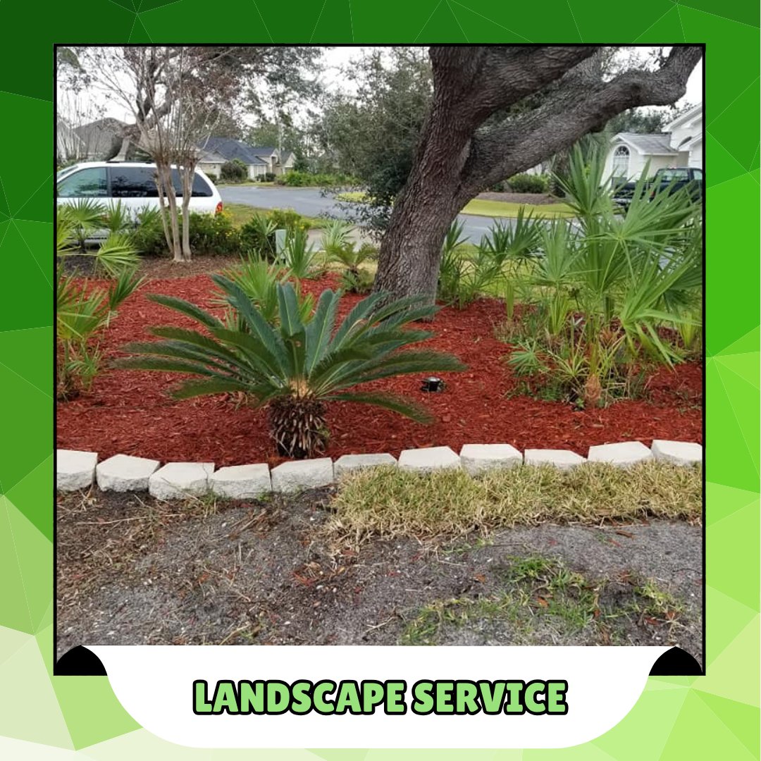 salawn58302's tweet image. Every great yard starts with a great landscape service. Whether it's a cleanup or a total makeover, we’ve got you covered. Let’s get your outdoor space looking its absolute best—contact us now! #LandscapeService
panamacitylandscaper.com/about