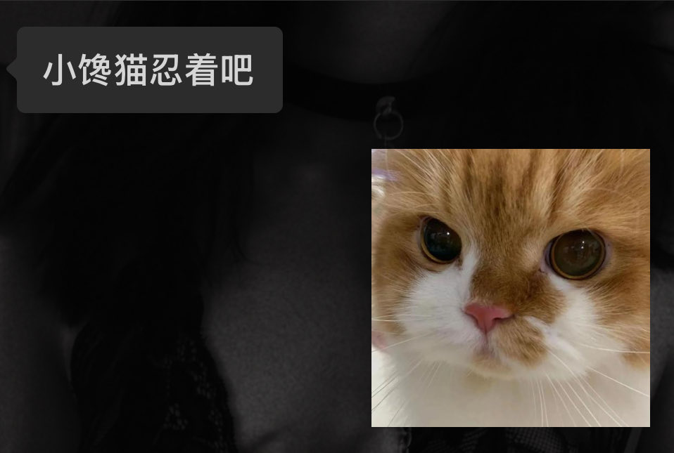 allforsexx's tweet photo. 🥺请把小玩具们还给我—— https://t.co/WEqDxhLmNq