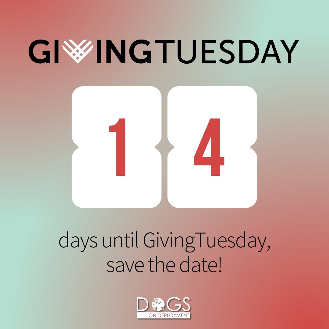 Dogs on Deployment tweet media