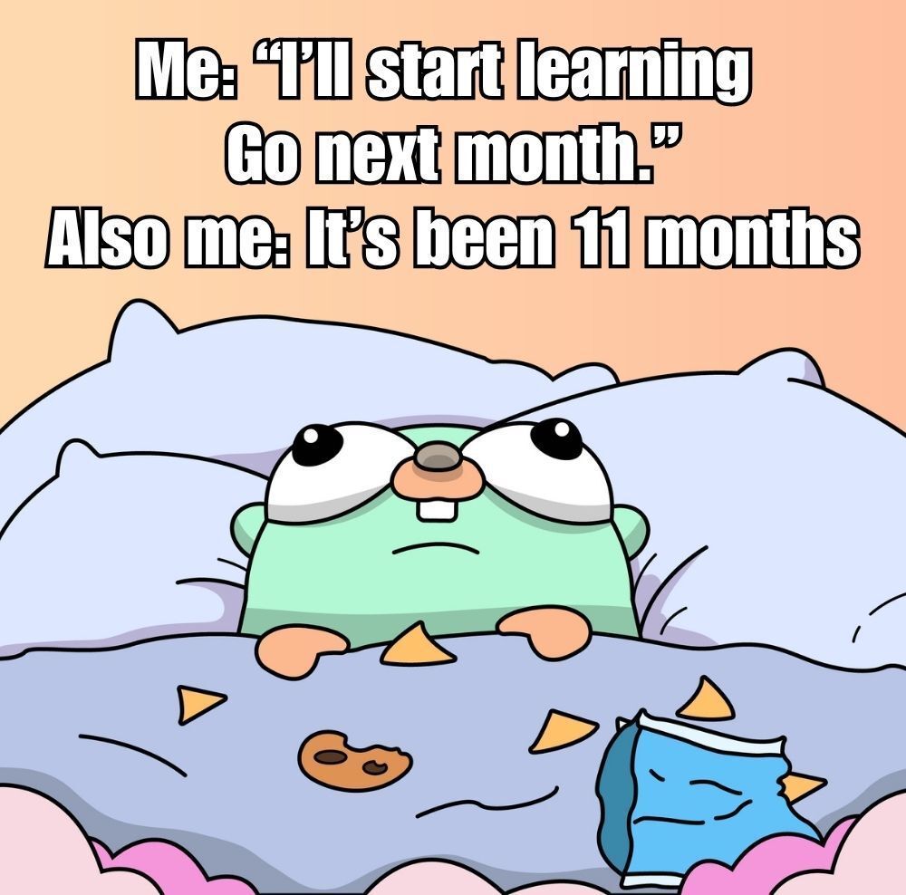ardanlabs's tweet image. Me: “I’ll start learning Go next month.”
Also me: It’s been 11 months 😅

🧠 Time to actually do it — 40% OFF all Self-Paced Training Bundles.
👉 ardanlabs.com/blackfriday 

#golang #learnGo #BlackFridayDeals
