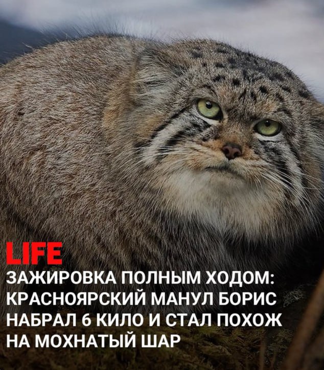 Хорошие новости