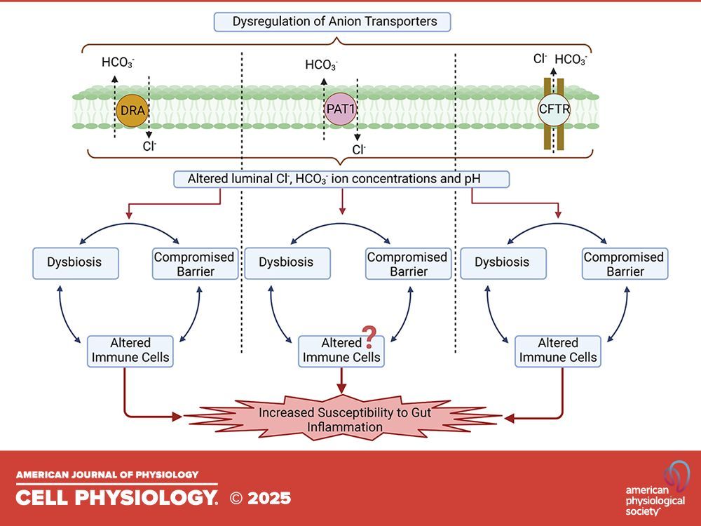 Epithelial Transport Group tweet media