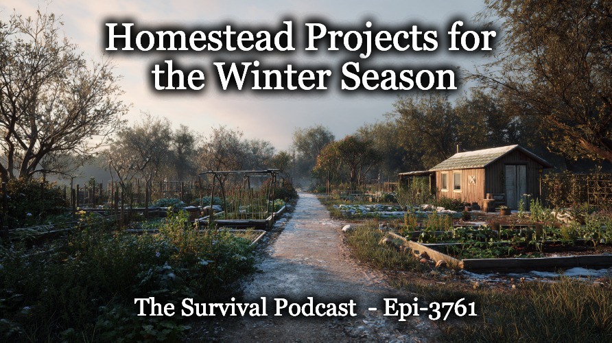 TheSurvivalPodc's tweet image. Live at 12:00 CST – Today we’re talking about winter planning for the homestead. Why now is the ideal time to reset, what to evaluate from the past year, and how to map out the projects that set you up for a stronger 2026.

Full details at tspclive.com
