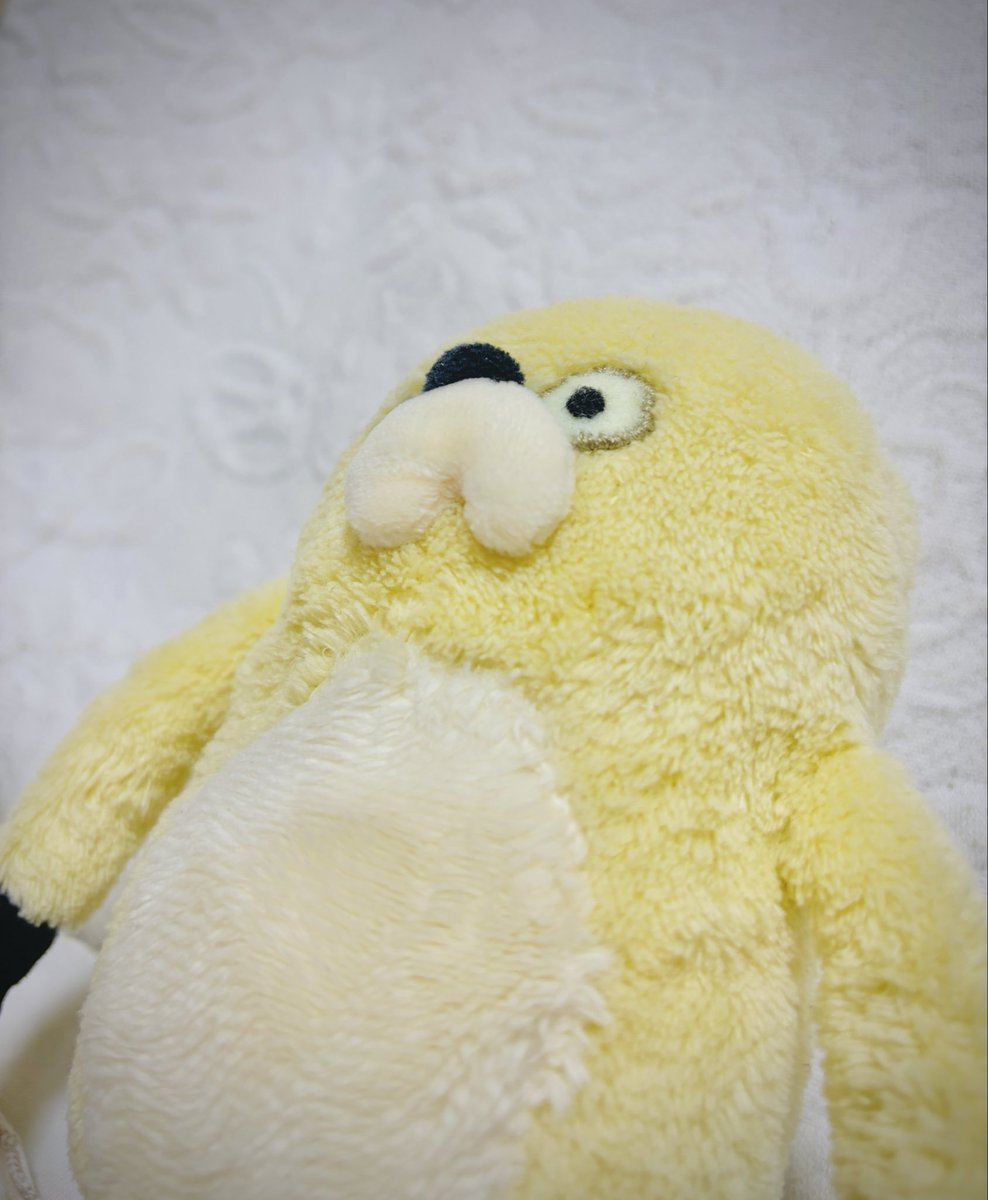 角度こんな感じ…？