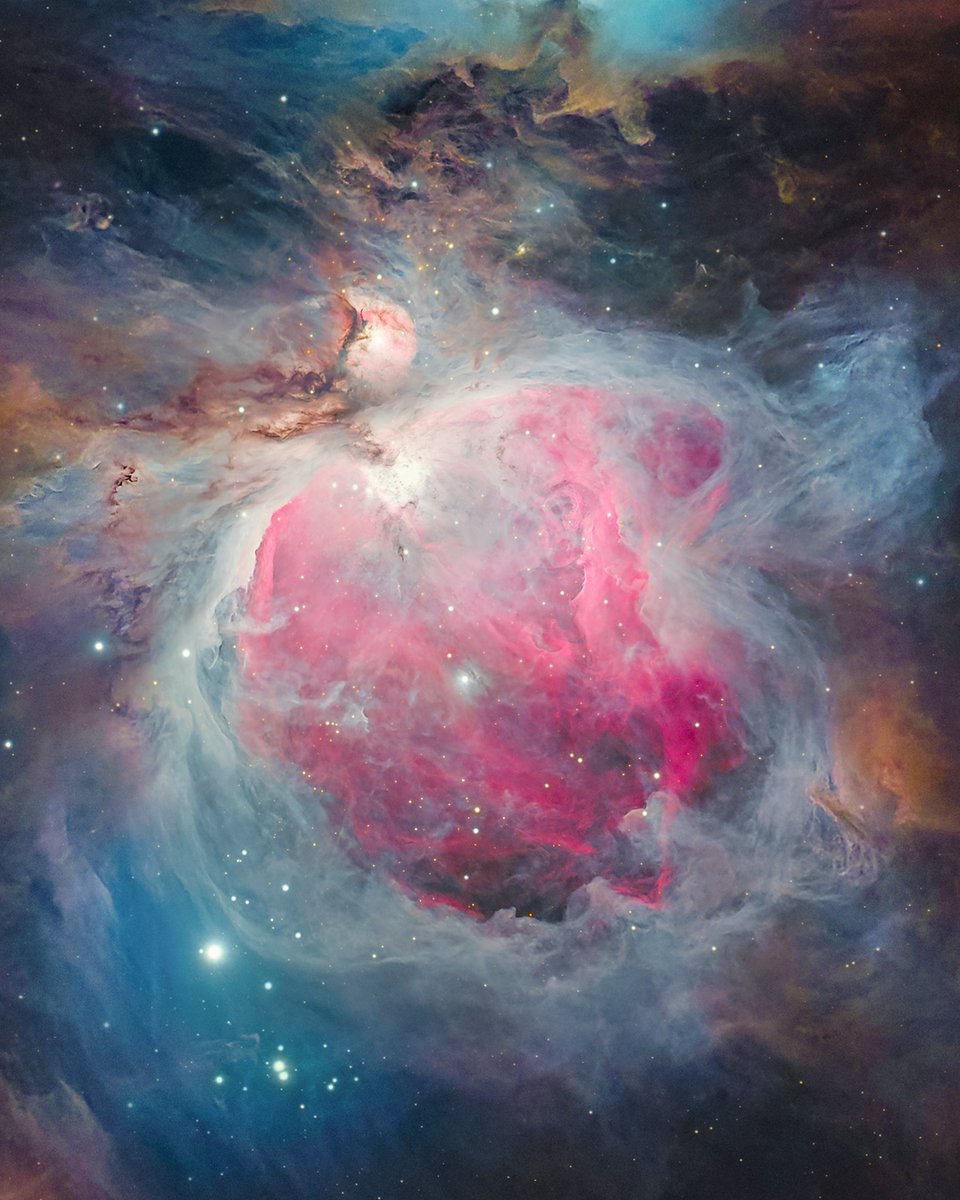 The Orion Nebula 😳

I took this picture using my biggest refractor telescope, revealing the intricate details within the 'stellar nursery' known as M42.

It's the closest massive star-forming region to Earth, and can be seen just below 'Orion's Belt' with the naked eye. 

For