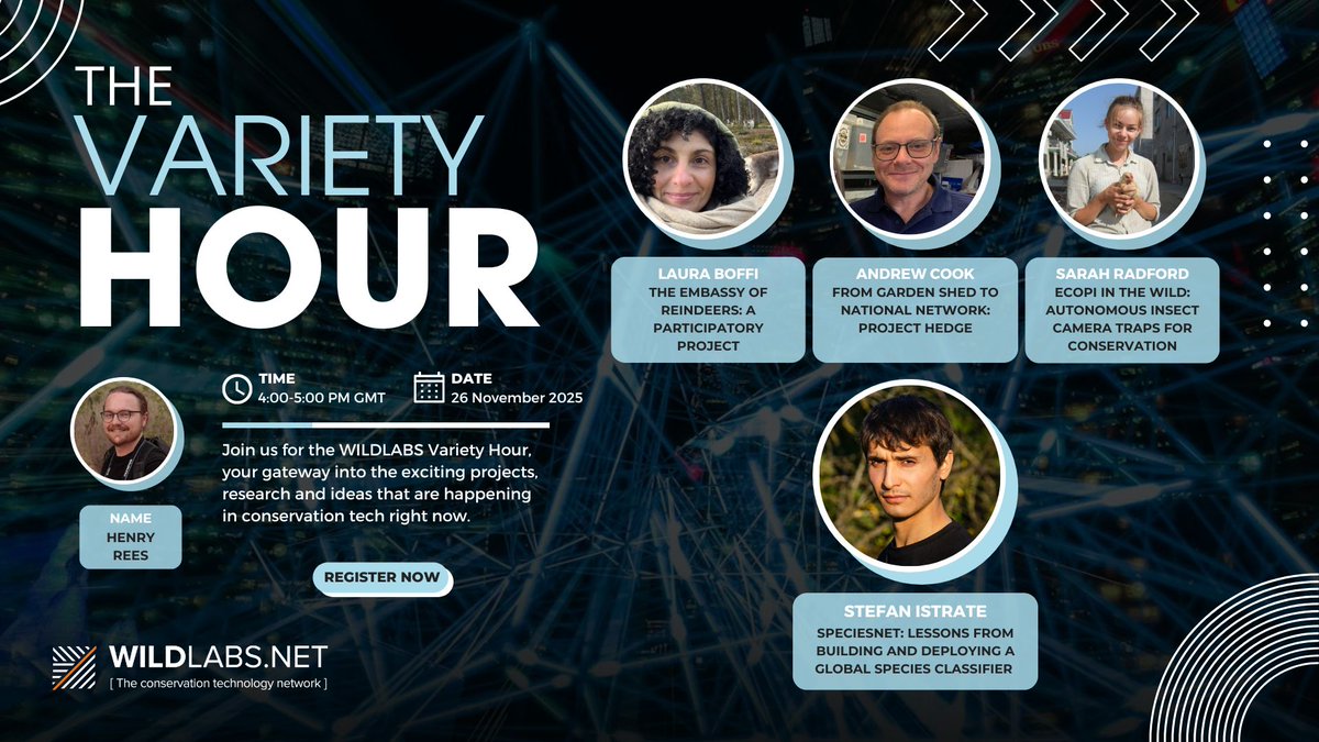 WILDLABSNET's tweet image. Join us on November 26 at 11am EST / 4pm GMT for Variety Hour! Hear about interspecies reindeer experiments, hedgehog networks, autonomous insect traps, and global species classifiers. 

Register here: wildlabs.net/event/variety-…