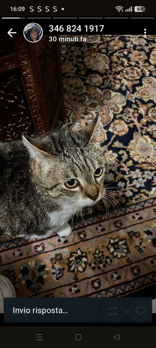 SISSI È RIMASTA SOLA, LA SUA MAMMA UMANA È MORTA. HA 12 ANNI E TANTO BISOGNO DI AMORE♥️♥️♥️♥️🙏
MILENA 346 824 1917
Grazie ❤️