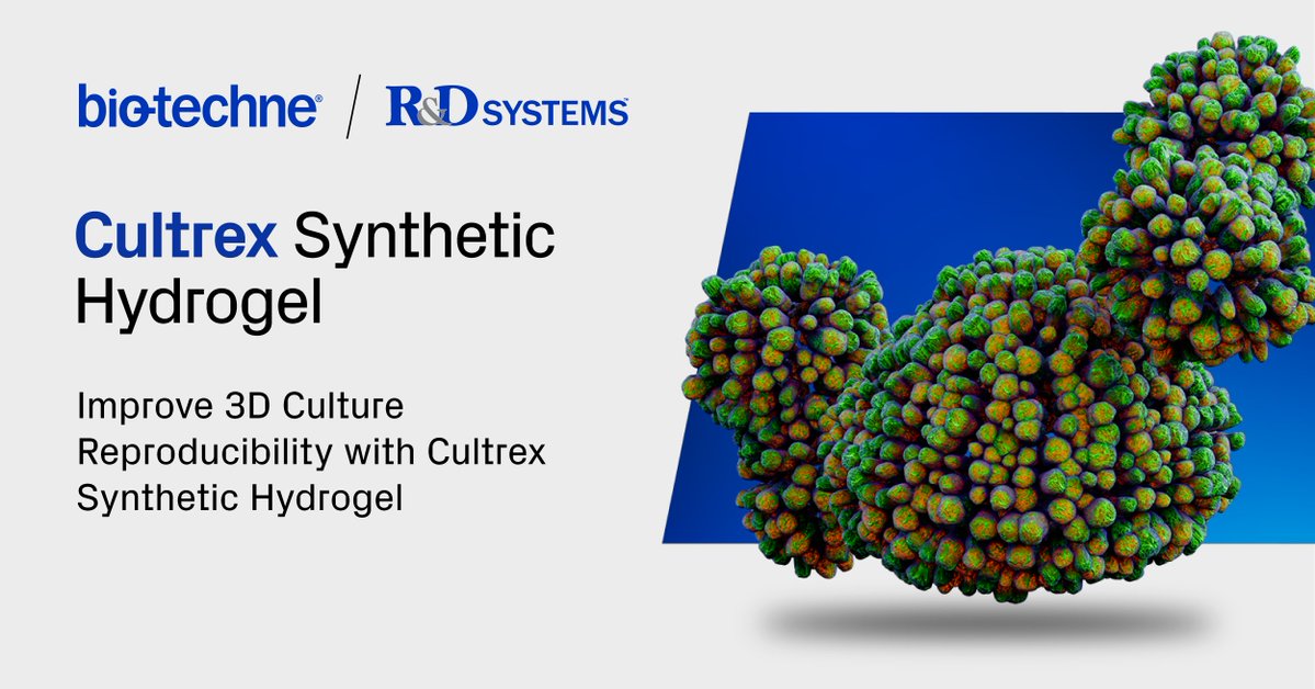 RnDSystems's tweet image. Bringing organoids to the clinic? Overcome the barriers of animal-derived ECMs with our NEW Cultrex Synthetic Hydrogel! 🔬

Pave the path to the clinic without compromising performance💡 

Learn more: bit.ly/4m9TeFP