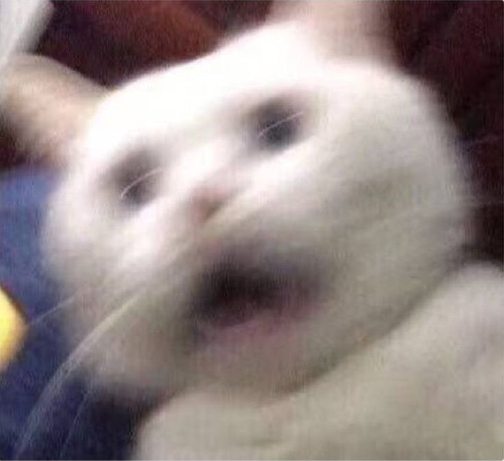 ZONEX (@getzonex) on Twitter photo 