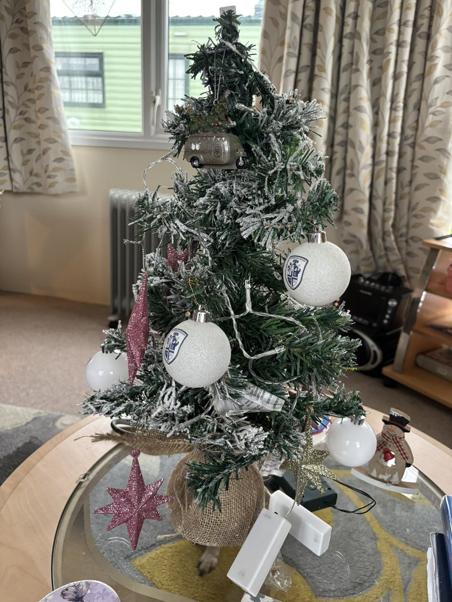 Maureen T-K tweet media