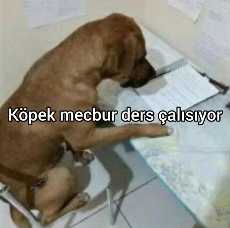 flort sayisi sifir oldugu icin