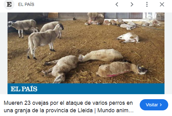 solo_gemma's tweet photo. Una de las mentiras comunistas es decir q Kast votó contra la "Ley Cholito", pero no la leyeron Leyeron!
Kast vio muchos errores de la famosa Ley y votó a conciencia, NO protegía a todos los animales y como la APROVARON, pasa esto y nadie se hace cargo!  
#KastPresidenteDeChile https://t.co/vP4VtCQvX9