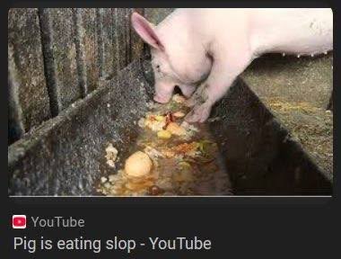 glorpglorbtheii's tweet photo. Everyday I feel like him https://t.co/zXcEijPEXi