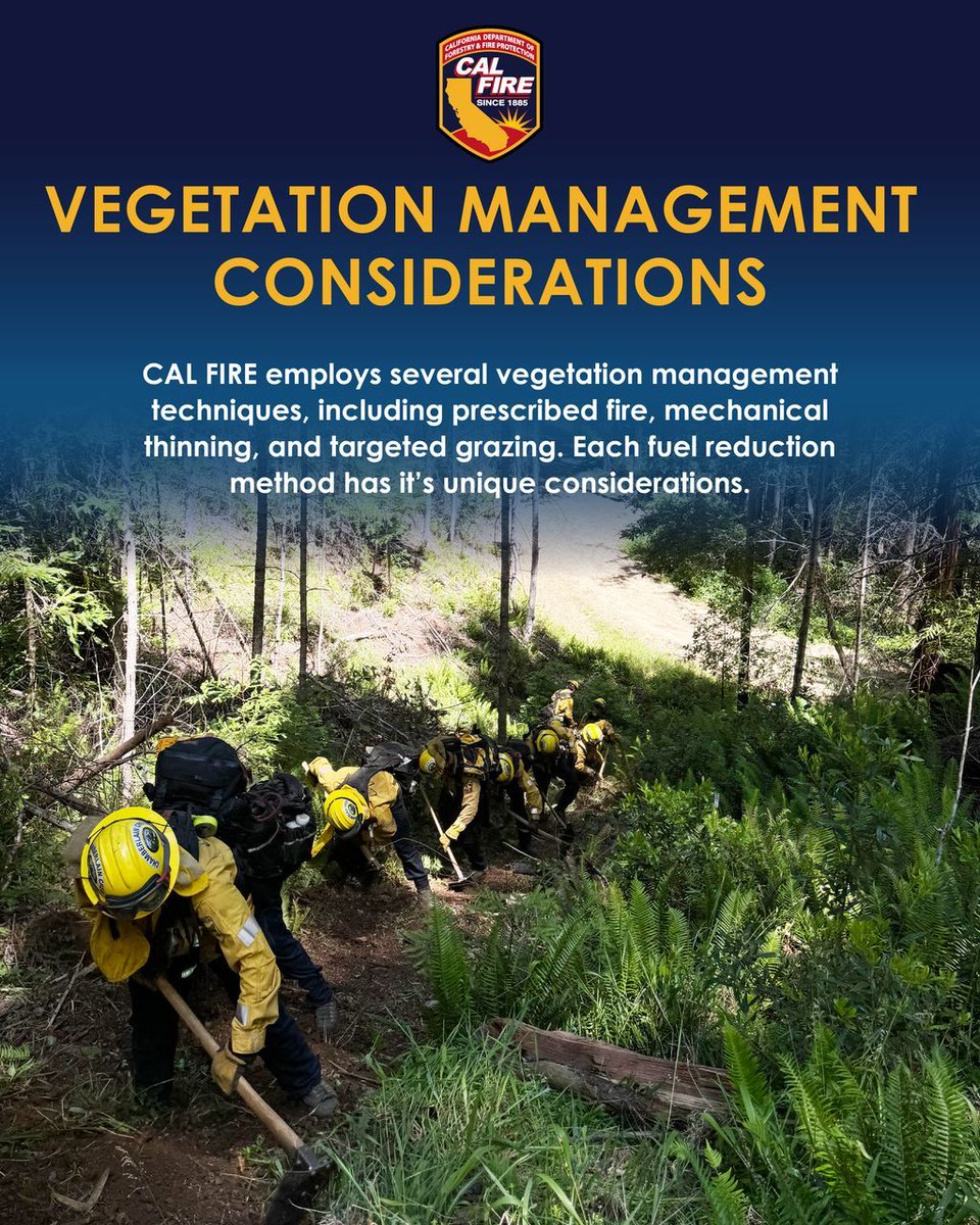 CAL_FIRE's tweet image. CAL FIRE and our partners use several proven methods to reduce vegetation and lower wildfire risk across California. 🌿

Each project, whether it’s mastication, manual clearing, targeted grazing, or beneficial fire, helps protect communities and improve landscape health.…