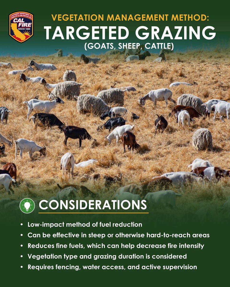 CAL_FIRE's tweet image. CAL FIRE and our partners use several proven methods to reduce vegetation and lower wildfire risk across California. 🌿

Each project, whether it’s mastication, manual clearing, targeted grazing, or beneficial fire, helps protect communities and improve landscape health.…