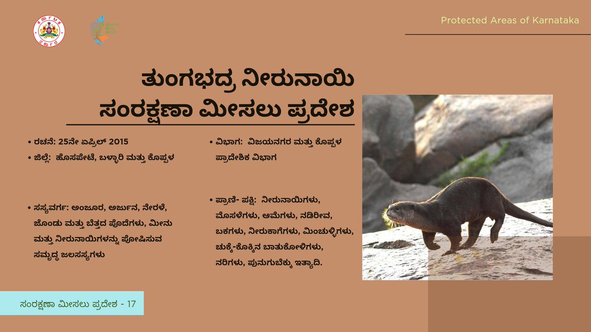 aranya_kfd's tweet photo. ತುಂಗಭದ್ರ ನೀರುನಾಯಿ ಸಂರಕ್ಷಣಾ ಮೀಸಲು ಪ್ರದೇಶದ ಒಂದು ಸಂಕ್ಷಿಪ್ತ ಪರಿಚಯ ಇಲ್ಲಿದೆ. 
Here’s a brief introduction to Tungabhadra Otter  Conservation Reserve, Bengaluru

#KFDPAseries #ProtectedAreas #Karnataka #Otter #ConservationReserve #Tungabhadra https://t.co/vvJXKSNdVV