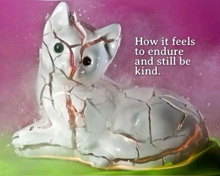 aszuus's tweet image. i deeply enjoy this genre of images