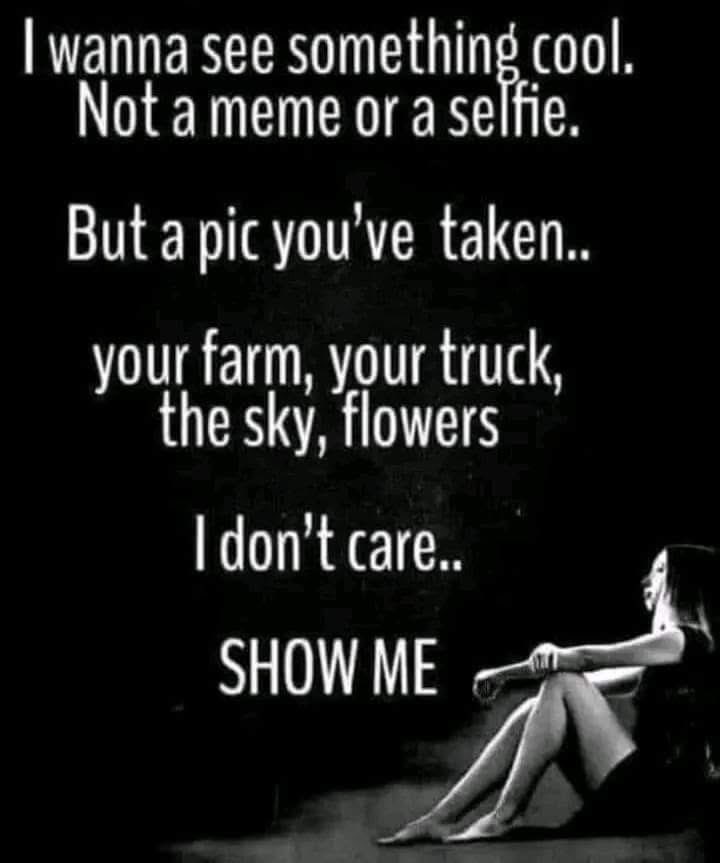 🧬Maxpein🧬 tweet media