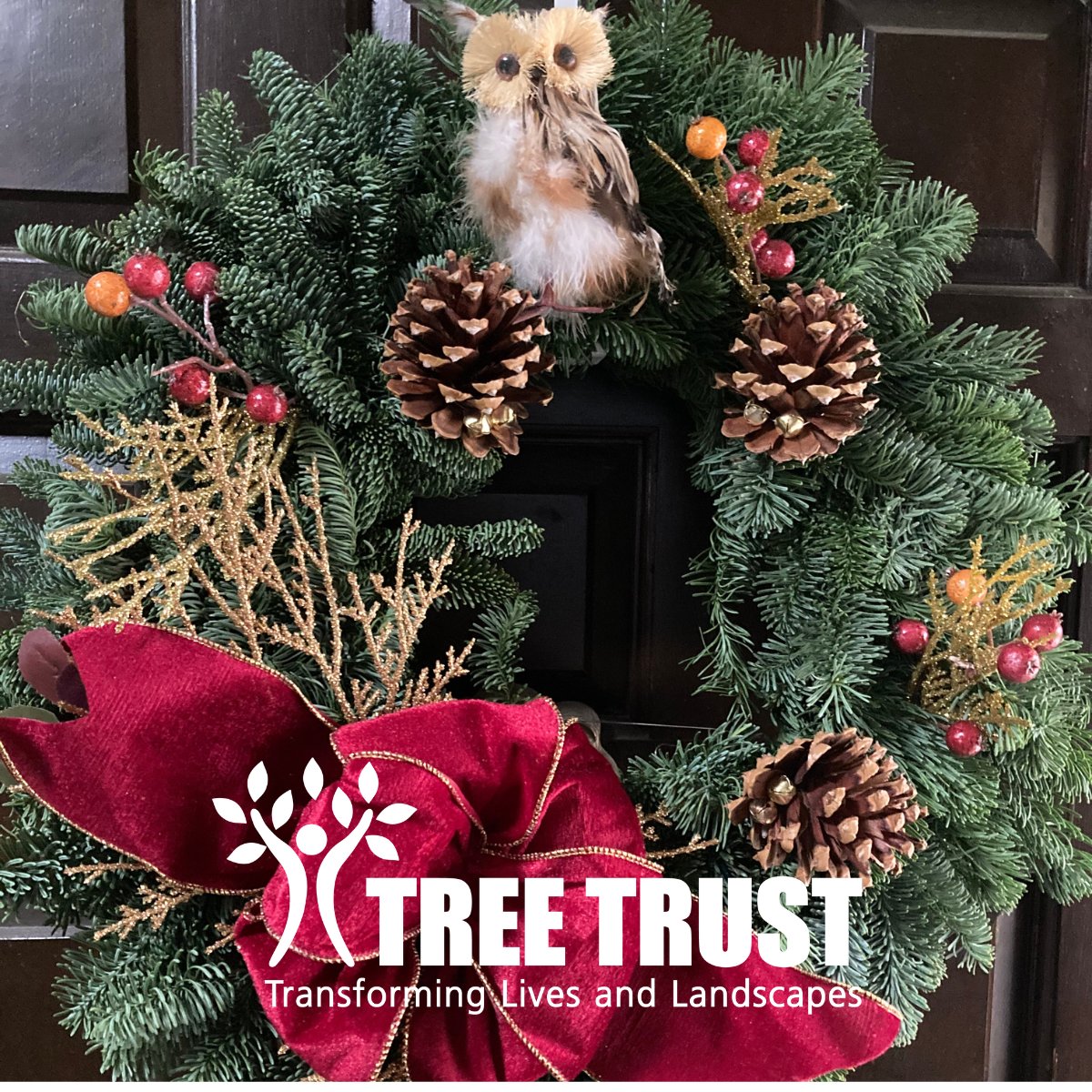 TreeTrust's tweet image. Let’s decorate with joy, not invasive insects! 🌲 Before bringing  Holiday greenery home, inspect it for pests and choose local firewood. Our simple choices protect our community forests.
Here&apos;s some great tips from the USDA: usda.gov/about-usda/new…