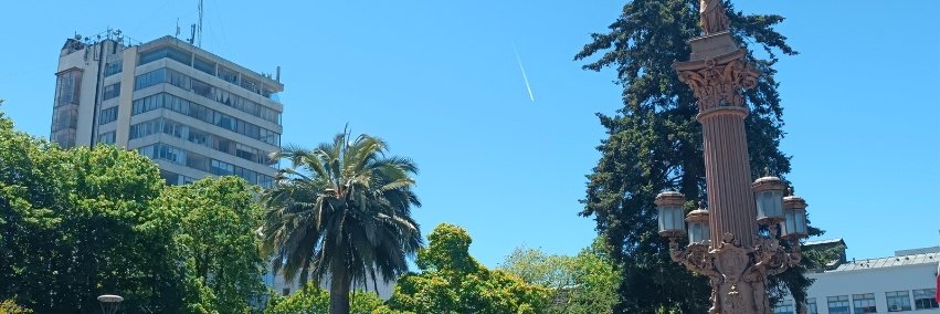 OCTAVA BIO BIO NOTICIAS ™ tweet media