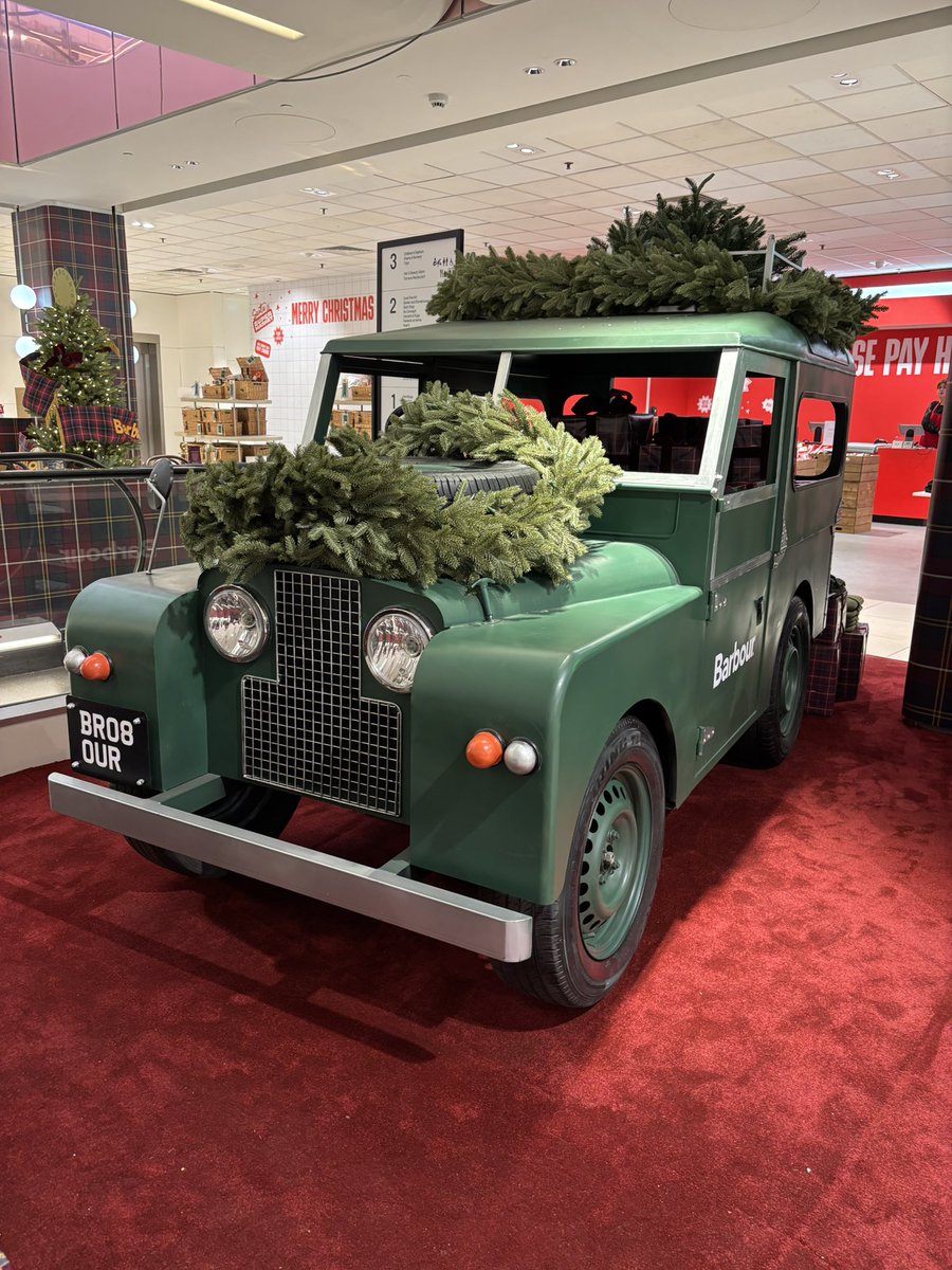 Baa, can ewe see me?👀🎄🚙💨💨